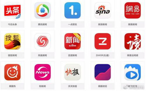如何高效投放新媒体广告 从策略到执行的完整指南